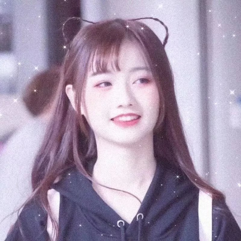 阿妮塔与加里波第